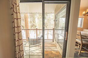 Flying Dutchman 1106