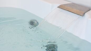 Geoje Forest-morning Spa Pension