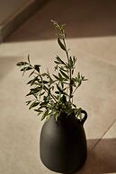 Beachfront Alassa Villas With Private Pools