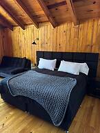 PINE TREE Hotel Boutique & Cabañas