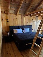 PINE TREE Hotel Boutique & Cabañas