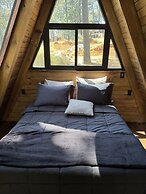 PINE TREE Hotel Boutique & Cabañas