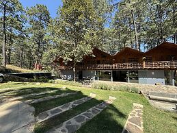 PINE TREE Hotel Boutique & Cabañas
