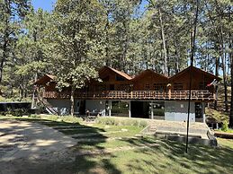 PINE TREE Hotel Boutique & Cabañas