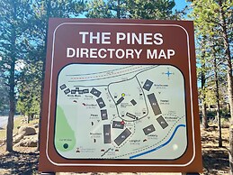 Pines 2116