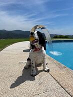 Hotel Cotto do Gatto