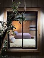 CABAÑAS QATAR PUCÓN