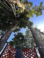 CABAÑAS QATAR PUCÓN