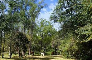 Hotel Ráquira Silvestre Lodge