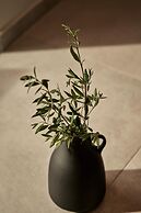 Beachfront Alassa Villas w Private Pools Complex