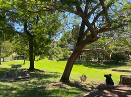 Kurrajong Village Delight