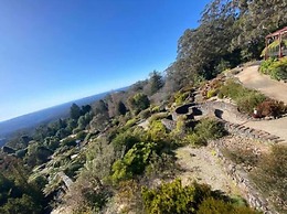 Kurrajong Village Delight