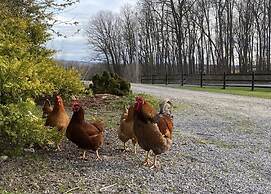 Letchworth Farm Guesthouses