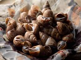 HOTEL VISCHIO TOYAMA by GRANVIA