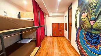 MAGIC PACKER HOSTEL