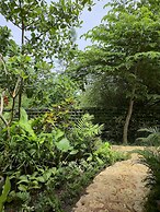 Deep Roots Dive & Yoga Resort