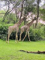 Sakae Paradise Resort