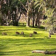 Sakae Paradise Resort