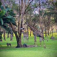 Sakae Paradise Resort