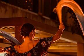 Sensus Experience by Lavris