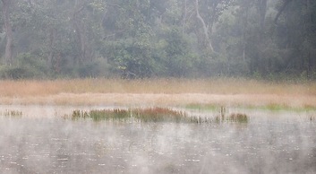 The Untamed Bandhavgarh by TUTC