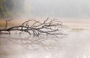 The Untamed Bandhavgarh by TUTC