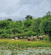 The Untamed Bandhavgarh by TUTC