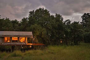The Untamed Bandhavgarh by TUTC