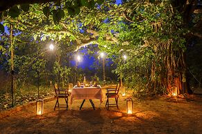 The Untamed Bandhavgarh by TUTC