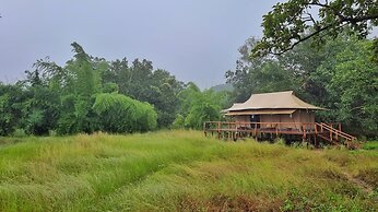 The Untamed Bandhavgarh by TUTC