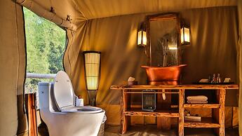 The Untamed Bandhavgarh by TUTC