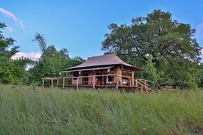 The Untamed Bandhavgarh by TUTC