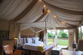 The Untamed Bandhavgarh by TUTC