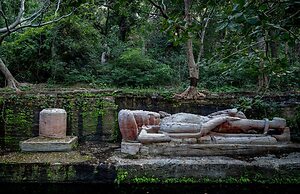 The Untamed Bandhavgarh by TUTC