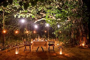 The Untamed Bandhavgarh by TUTC