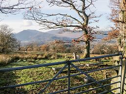 Carlton House Apartment 1