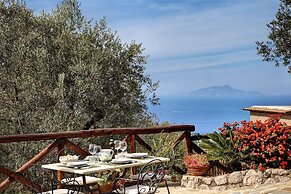 Tulipano - A Charming and Peaceful Hillside Villa With Lovely Views