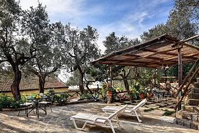 Tulipano - A Charming and Peaceful Hillside Villa With Lovely Views