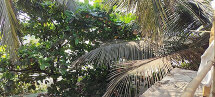 Est Hem Guesthouse Arambol