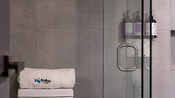 Tribu San Martín Chapultepec