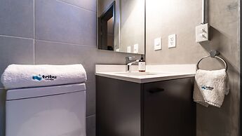 Tribu San Martín Chapultepec