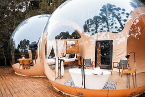 Zion Bubble Glamping