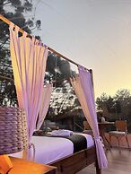 Zion Bubble Glamping