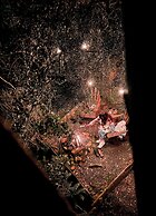 Zion Bubble Glamping