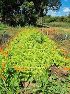 Sertão Veredas Hotel Fazenda