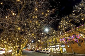 Elegant Old Town Charm – Walk to Csu and Downtown