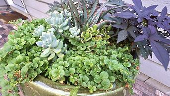 Gorgeous Guest Suite! Walk to Old Town & Csu!