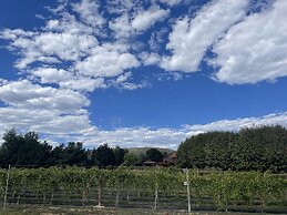 Spectacular Home in Peaceful Area Vineyard Views