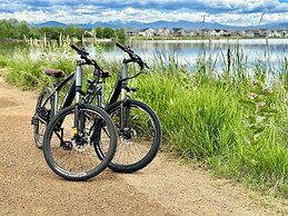 New Build W/ Great Backyard & Lake Access!