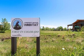 New Build W/ Great Backyard & Lake Access!